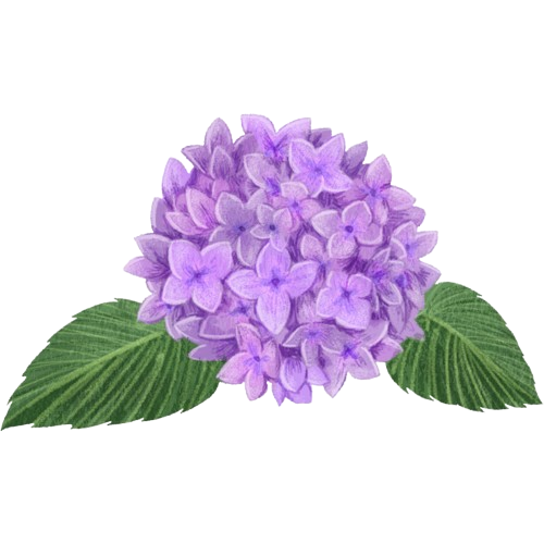 Pomerance